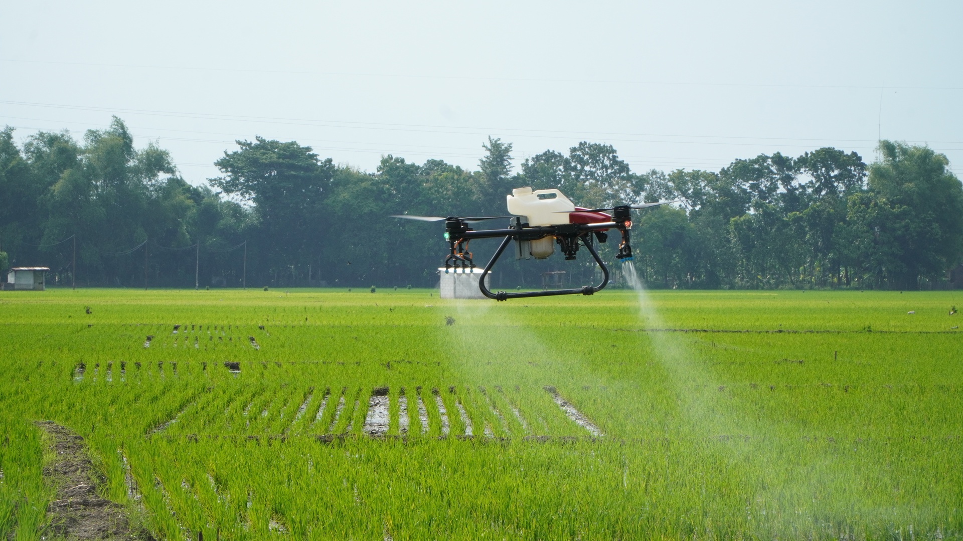 Maxxi Tani - Pilot Drone